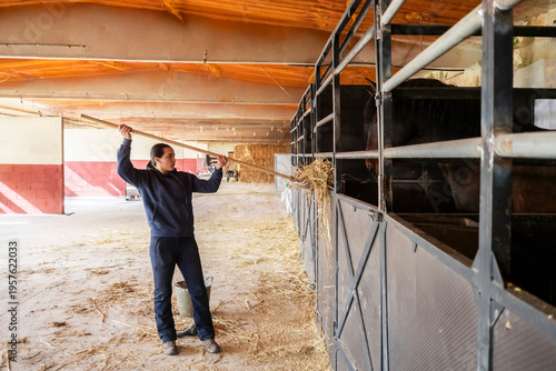 Girl feeding horse with hay inside a stable