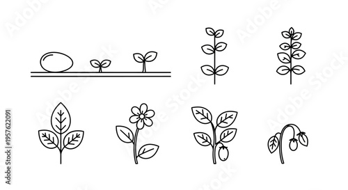 Various plants and seedlings grow in different stages and environments indoors.
