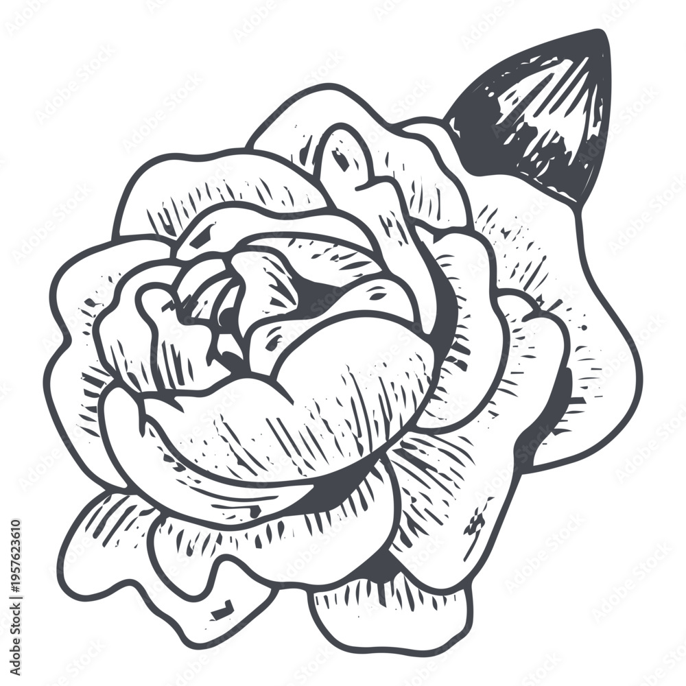 Naklejka premium Splendid flower hand-drawn design