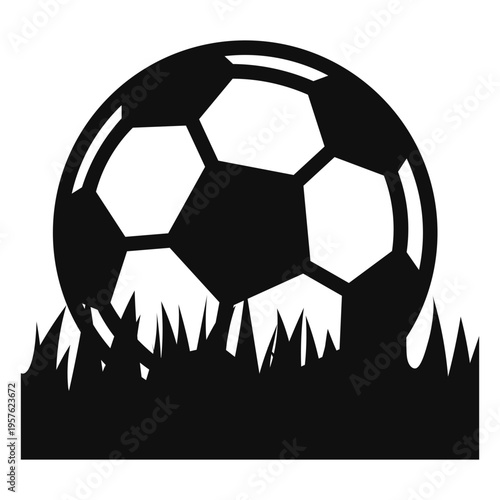 Soccer ball in the field