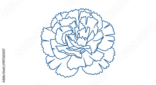 A minimalist line drawing depicts a single carnation flower in shades of blue high quality professional