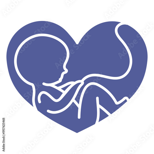 Fetus in the shape of a heart