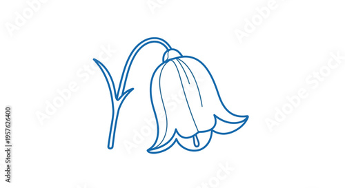 Simple blue line drawing depicting a single delicate bluebell flower on a white background high quality