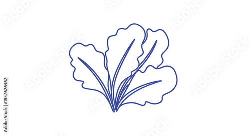 Simple blue line drawing of leafy greens resembling lettuce or spinach foliage high quality professional detailed