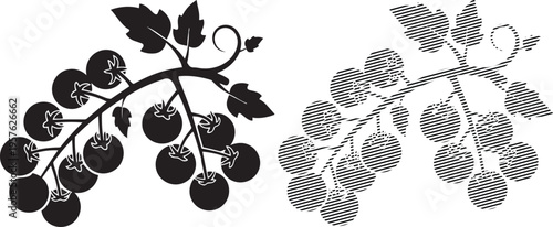 Elegant black and dotted grapevine branches with clusters of grapes in contrasting styles