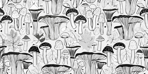 Detailed botanical illustration of various mushroom species and foliage