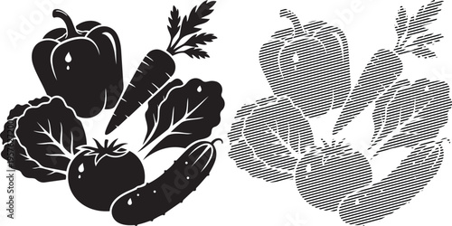 Contrasting illustration of fresh vegetables in solid and woven patterns