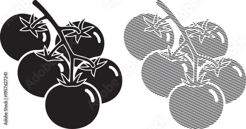 Black and dotted tomatoes in a stylized illustration