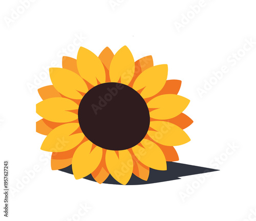 Compact sunflower silhouette shown in macro close-up perspective focusing on smooth petal edges and circular form, positioned in