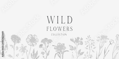 A delicate botanical illustration displaying a collection of wild flowers