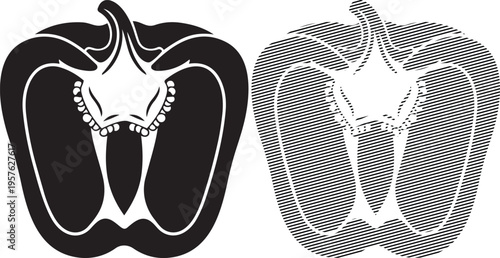 Cross-sectional views of a human nasal cavity and sinus structure in medical imaging