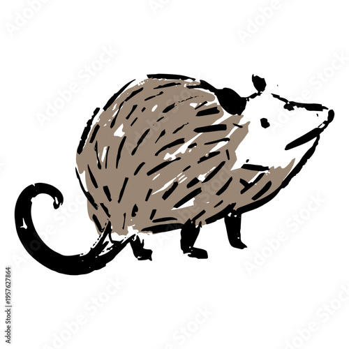 Tableau sur toile Drawing of an opossum looking up
