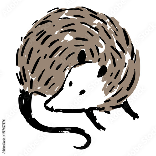 Quadro em tela Black and brown drawing of a possum