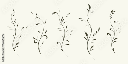Elegant botanical illustration featuring delicate curving stems and leaves
