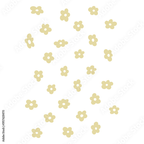 White and yellow flowers