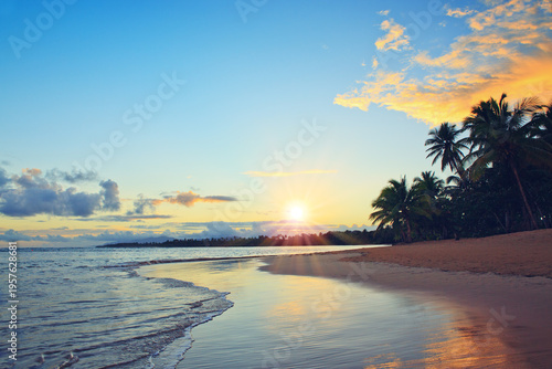 Tropical sunrise with coconut palm trees and caribbean sea .