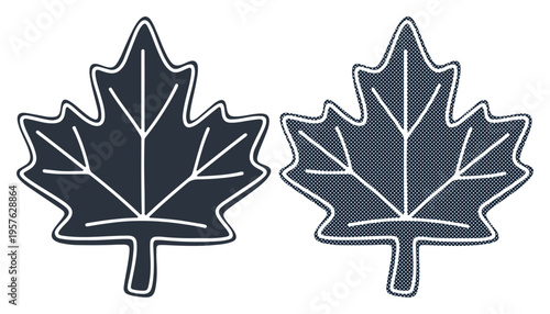 Two dark blue maple leaves with white veins on a white background