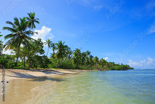 Palm trees on white tropical beach. Travel background.
