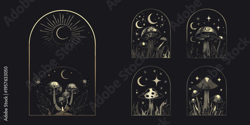 Mystical mushroom and celestial arch illustrations in a vintage aesthetic