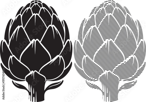 Artistic depiction of two different artichoke illustrations with distinct textures and patterns
