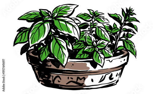 Eat well live well. Fresh basil herb pot artwork for t-shirt print, poster, sticker and other uses. Organic garden design, hand drawn vector.
