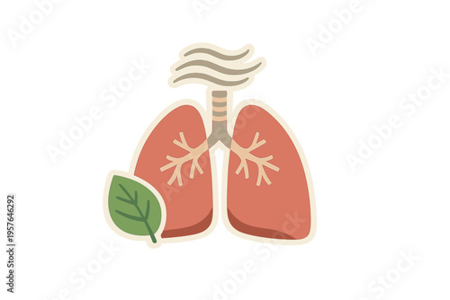 A minimalist flat vector illustration of human lungs featuring