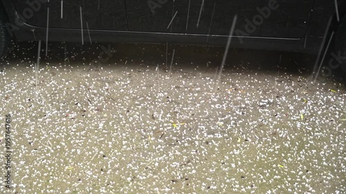 heavy hail falling on asphalt near a parked car. Hailstones bounce on the road surface creating a dramatic weather scene with impact, accumulation and intense atmospheric conditions.