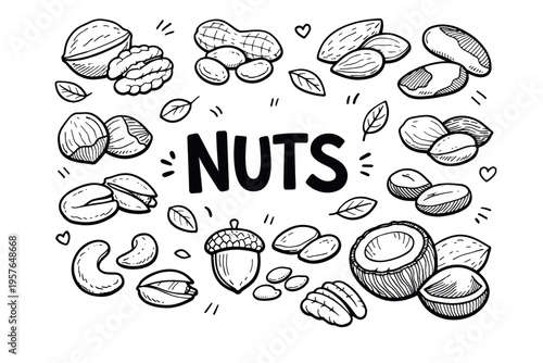 Nuts doodle illustration in black and white hand drawn outline style with mixed healthy snack and organic food elements
