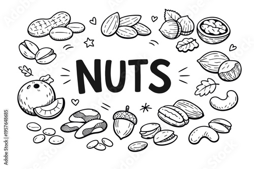 Nuts doodle illustration in black and white hand drawn outline style with mixed healthy snack and organic food elements