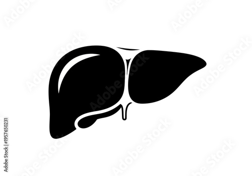 A perfect and healthy human liver silhouette icon simple style vector illustration of internal organ
