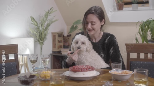 Young charming woman with their dog celebrate birthday party at home