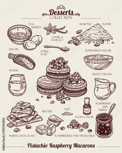 Pistachio raspberry macarons recipe. Nuts Crumbs, White chocolate, Egg Whites, Almond Flour and Sugar. French Dessert. Line art Illustration, sketch style. 
