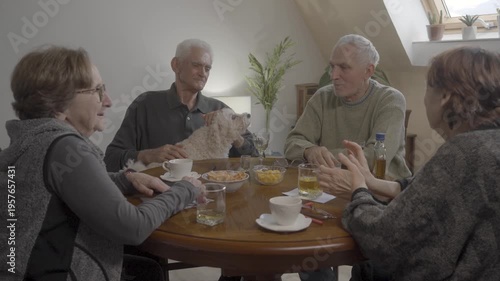 Seniors spending a great time together with friends at home