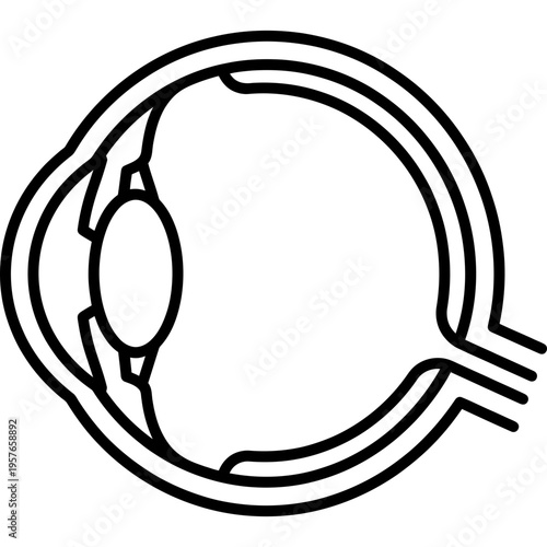 Minimalistic anatomical eye cross-section outline icon