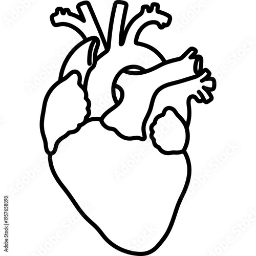 Minimalistic anatomical heart outline icon with arteries