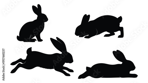 Four black silhouettes of rabbits in various poses against a white background