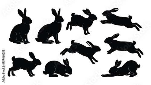 A collection of black silhouettes depicting various rabbit poses and activities