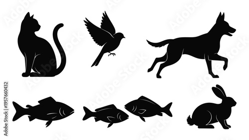 Silhouettes of various animals including a cat dog bird fish and rabbit