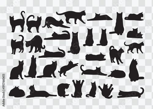 Black cat silhouette arching its back on transparent background