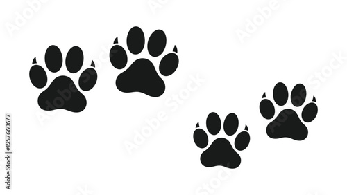 Black paw prints arranged on a white background depicting animal tracks