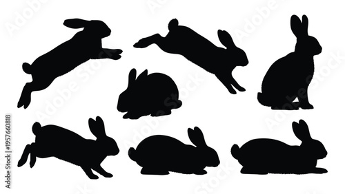 Silhouettes of rabbits in various poses against a white background