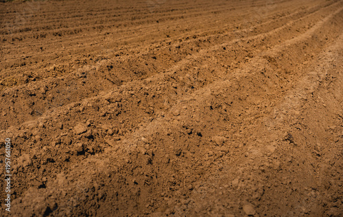 A landscape with plowed fields in early spring