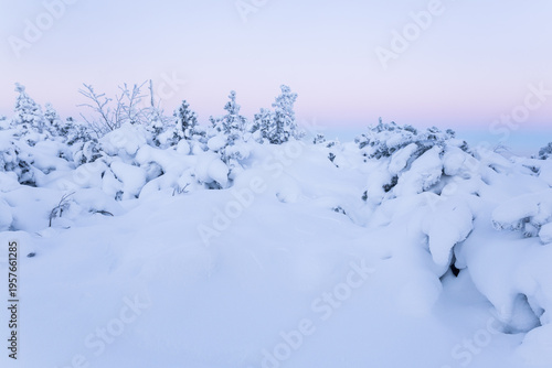 Winter landscape in Germany short before sunrise