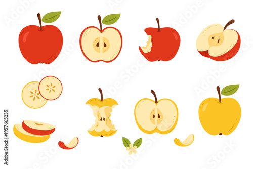 Apple set whole sliced cut pieces stages fresh fruit collection