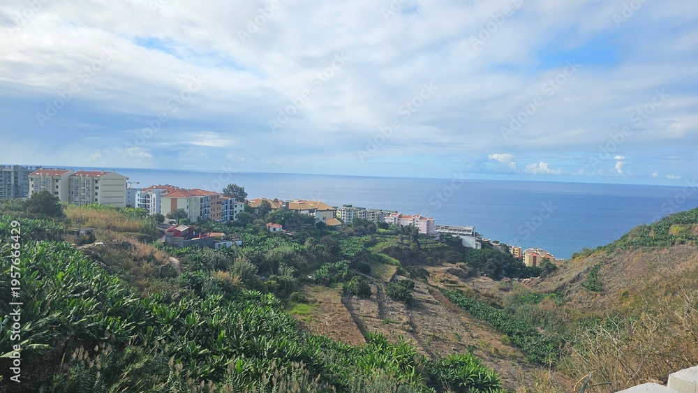 Obraz premium Scenic coastal view of Funchal, Madeira with terraced farmland, hillside vegetation and residential buildings overlooking the Atlantic Ocean beneath a soft cloudy sky.