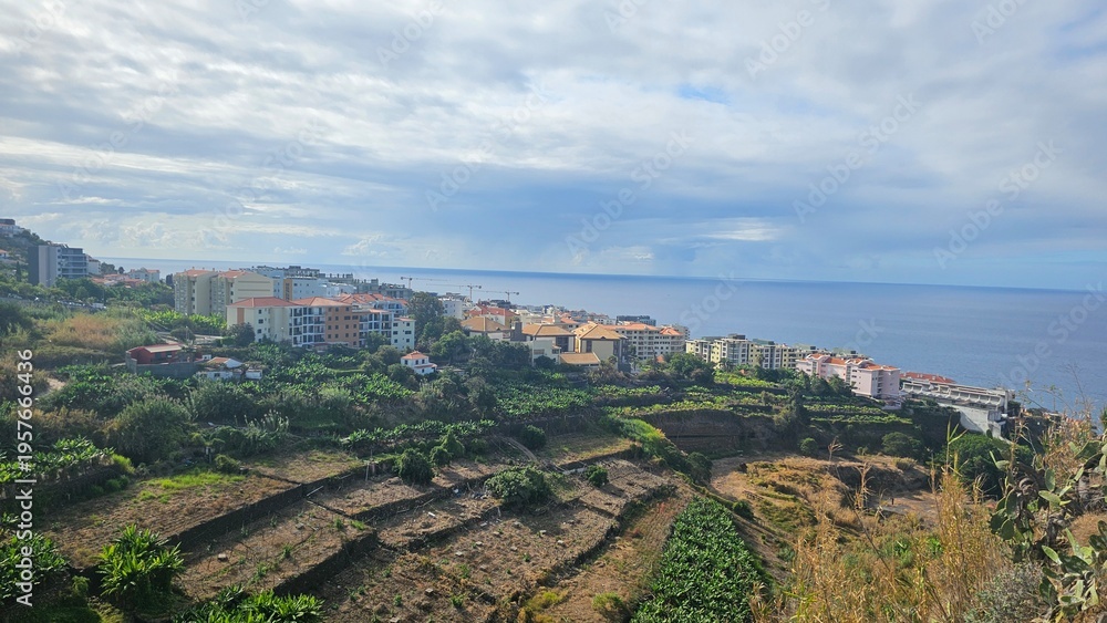 Fototapeta premium Panoramic view of Funchal, Madeira with terraced farmland, hillside homes and the Atlantic Ocean under a soft cloudy sky, showcasing the island’s coastal landscape.