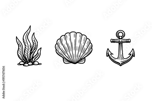 A set of three hand-drawn marine icons featuring seaweed with stones