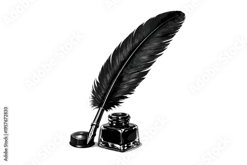 A detailed black and white vector illustration of a classic feather