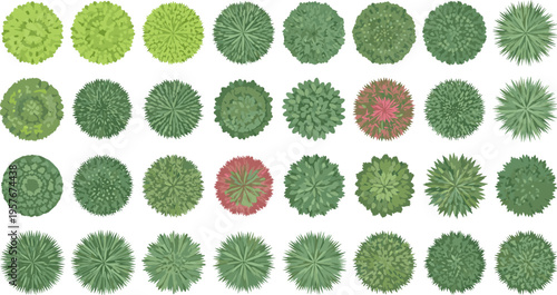 Flat Top View Tree and Bush Vector Illustration Set for Landscape Design and Architectural Plans