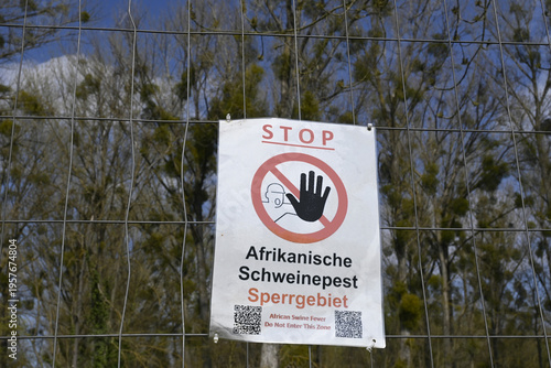 Wallpaper Mural afrikanische schweinepest Torontodigital.ca